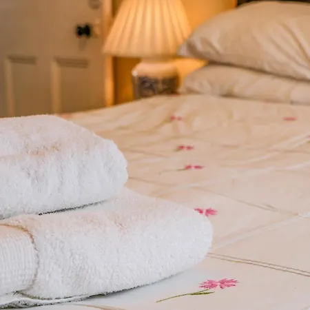 Victoria レッドカー